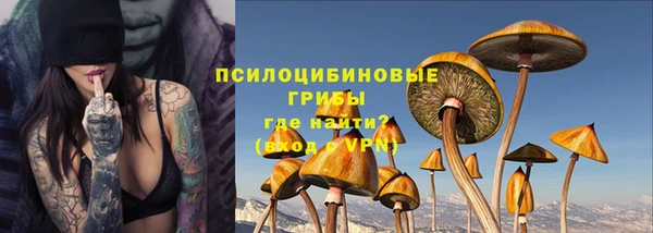 прущая мука Арсеньев