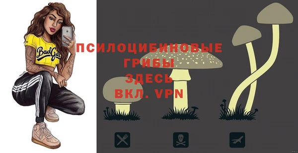 прущая мука Арсеньев