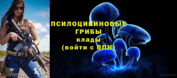 a pvp Балабаново